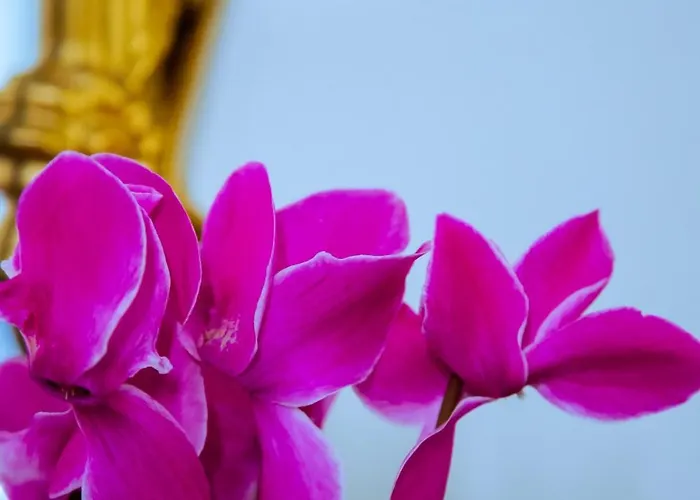 Wikisuite Labaro Apartment *